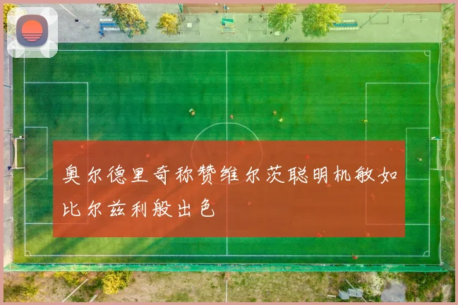 奥尔德里奇称赞维尔茨聪明机敏如比尔兹利般出色